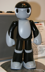 Manoi Humanoid Robot