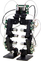 e-nuvo educational robot