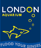 London Aquarium